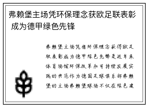 弗赖堡主场凭环保理念获欧足联表彰 成为德甲绿色先锋